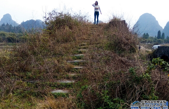 _格列弗游记章节概论_木耳能不能用水煮